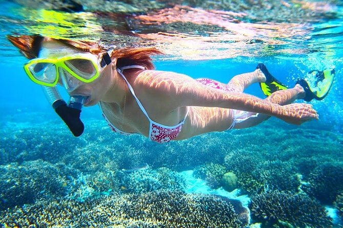 Bali Snorkeling at Blue Lagoon With Lunch And Private Transport - Included Experiences