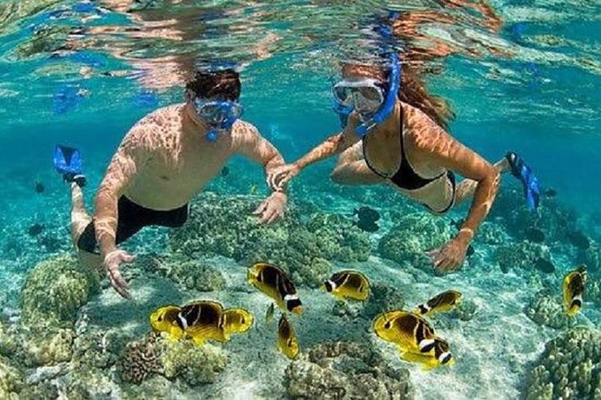 Bali Snorkeling at Blue Lagoon With Transport and Lunch - Inclusions and Whats Provided