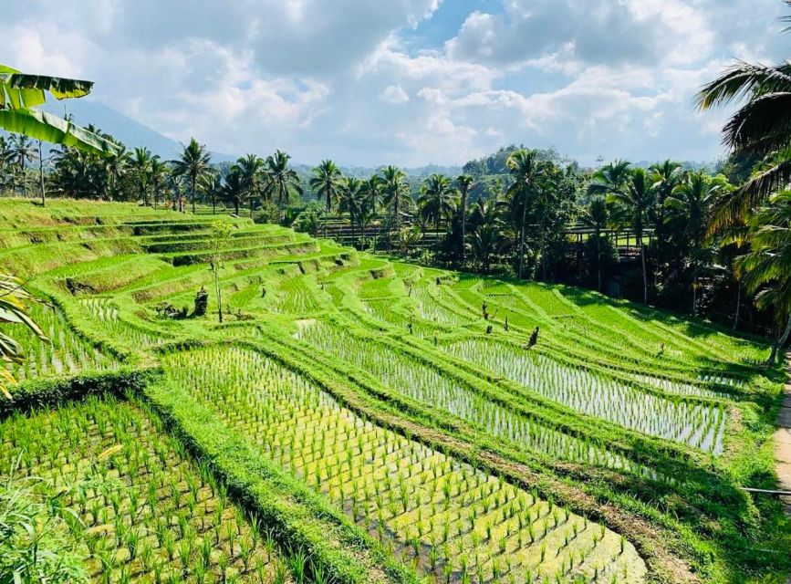 Bali: Tanah Lot, Jatiluwih Terrace, and Ulun Danu Beratan Tour - Tanah Lot: Iconic Sea Temple