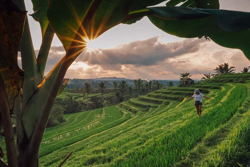 Bali: Ulundanu Temple, Banyumala Waterfall & Rice Terrace - Pickup and Drop-off