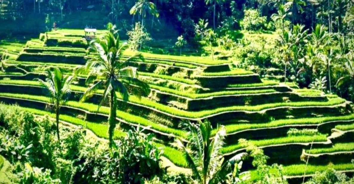 Bali:Private Guided Customizable Full-Day Tours - Included in Tour