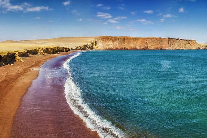 Ballestas Islands and Paracas Reserve From San Martin Port - Key Attractions