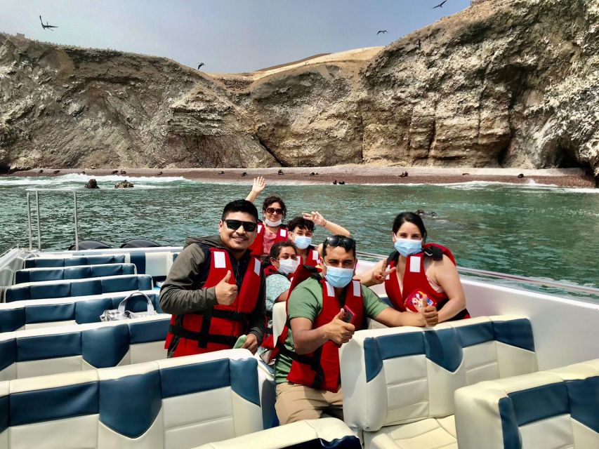 Ballestas Islands Tour - Paracas - Highlights of the Experience