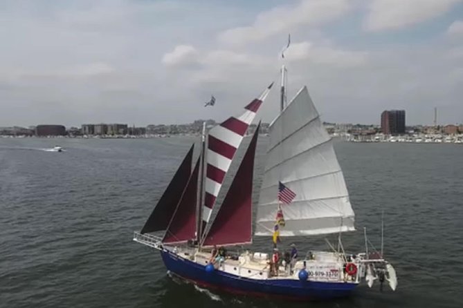 Baltimore Inner Harbor Sail on Summer Wind - Customer Feedback