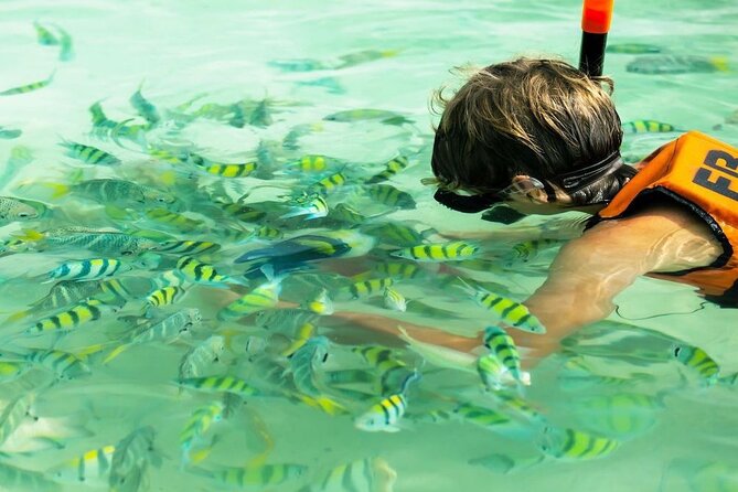 Banana Beach Snorkeling Day Out - Pickup Information