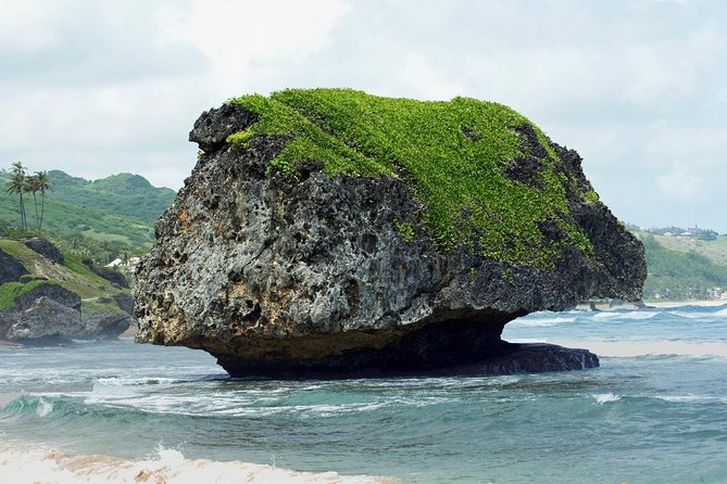 Barbados Island Tour With Lunch and Wildlife Sanctuary - Wildlife Sanctuary Experience