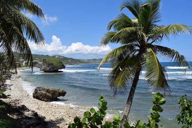 Barbados Shore Excursion Island Tour and Snorkel Cruise - Booking Process