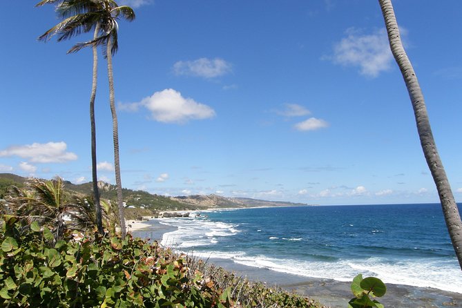 Barbados Small-Group or Private Coastal Sightseeing Tour - Tour Experience and Feedback