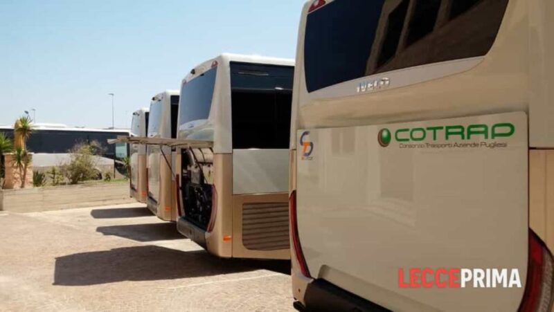 Bari Airport: 1-Way Shared Transfer to Matera City Center - Transportation Experience