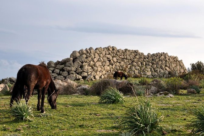 Barumini Unesco Site and Giara of Gesturi Tour From Cagliari - Highlights of Barumini