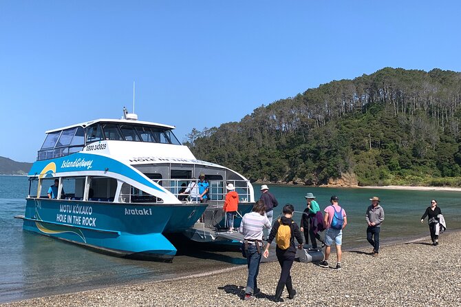 Bay of Islands Cruise & Island Tour - Snorkel, Hike,Swim,Wildlife - Itinerary Highlights