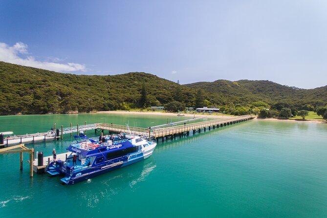 Bay of Islands Explorer Experience Small Group Tour From Auckland - Inclusions and Amenities