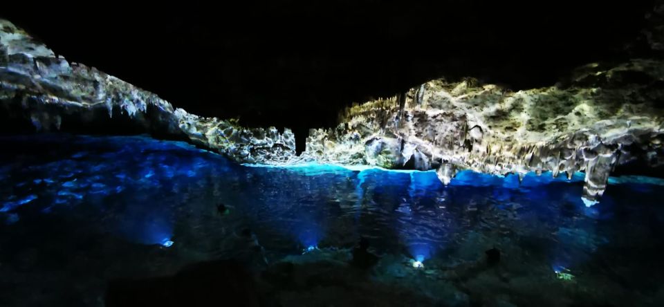 Bayahibe: National Park Jungle Walk & Snorkeling in Cenotes - Snorkeling in Cenotes Chicho