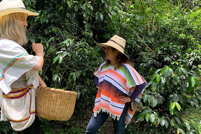 Be a Farmer for One Day (Coffee Farm Experience) - Whats Included in the Tour