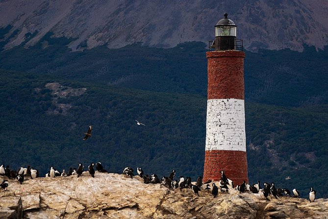 Beagle Channel Navigation With Minitrekking - Wildlife Encounters