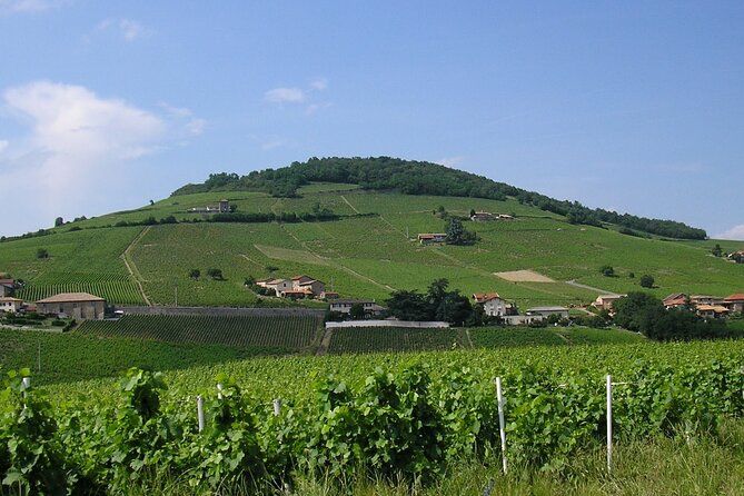 Beaujolais Half Day Wine Tasting Tour - Meeting and Pickup Details