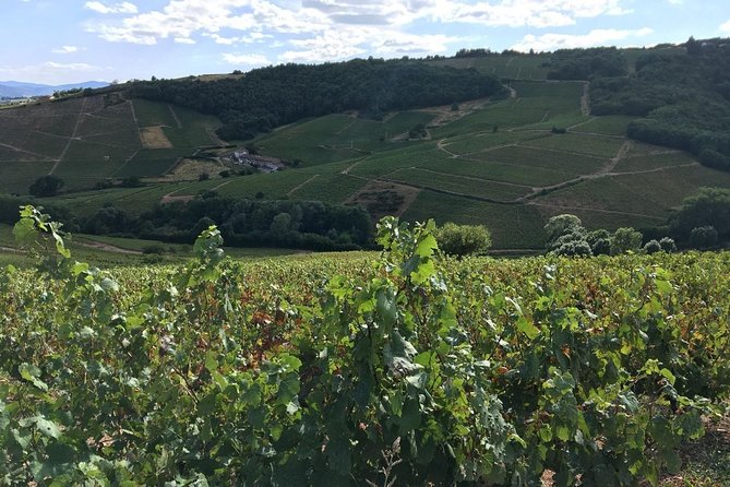 Beaujolais Wine Tasting Day Tour From Lyon - Day Tour Itinerary