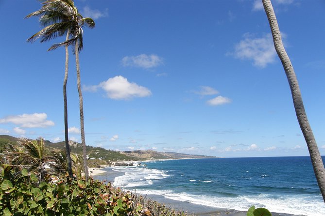 Beautiful Coastal Sightseeing Tour of Barbados - Admire the Breathtaking Foul Bay