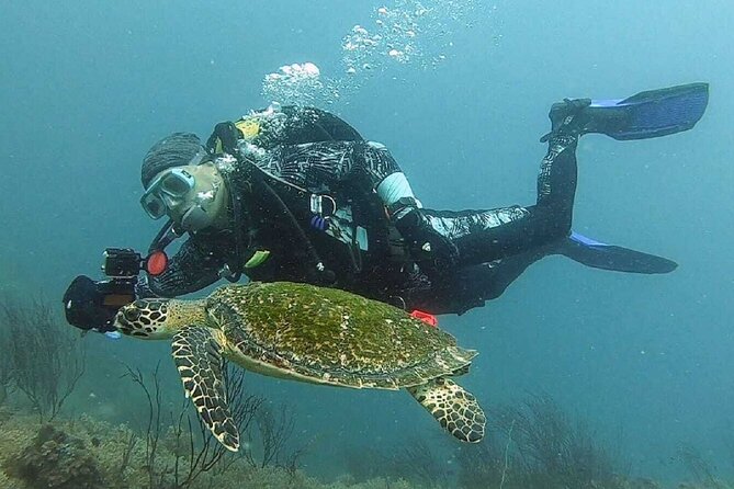 Become Certified Diver in 3 Days - PADI Open Water Diver Course on Koh Tao - Included Equipment and Amenities