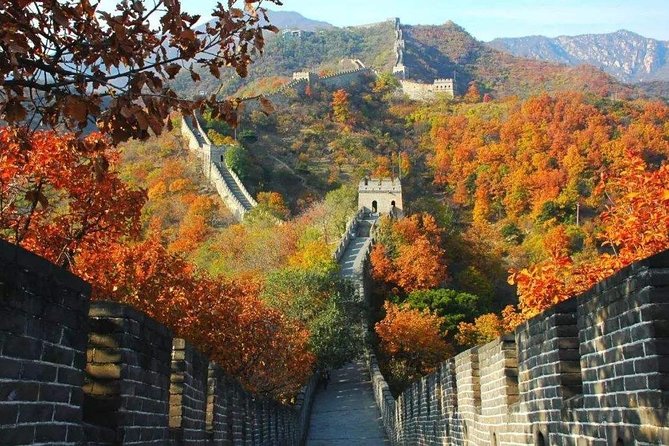 Beijing Layover Mutianyu Great Wall & Forbidden City Private Tour - Pricing and Booking Information