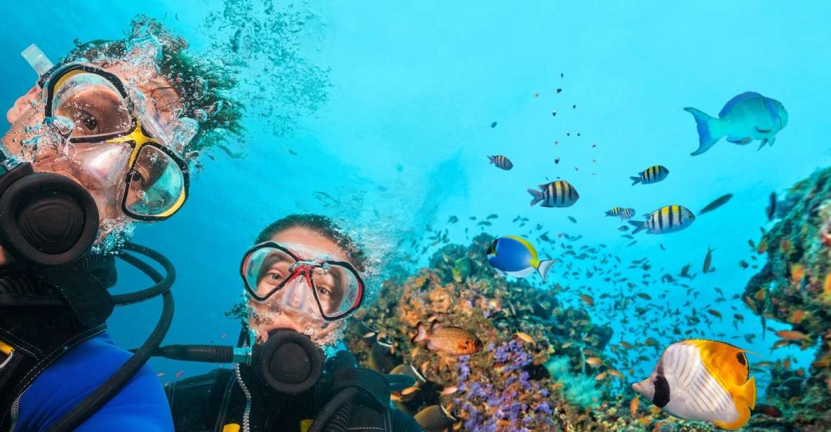 Belek: Scuba Diving in the Mediterranean Sea - Experience the Underwater World