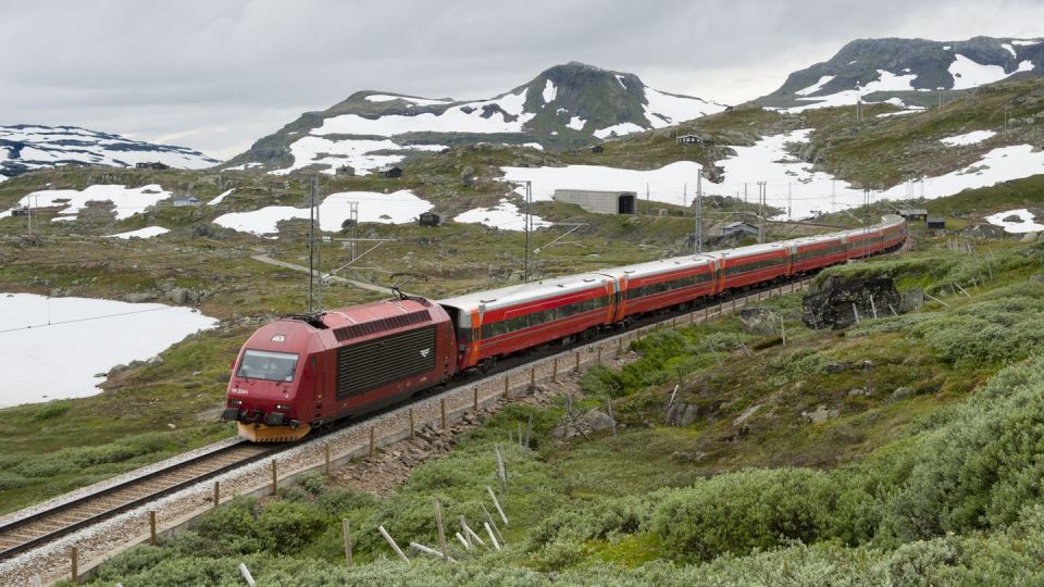 Bergen: Nærøyfjord Cruise and Flåm Railway to Oslo - Included Features