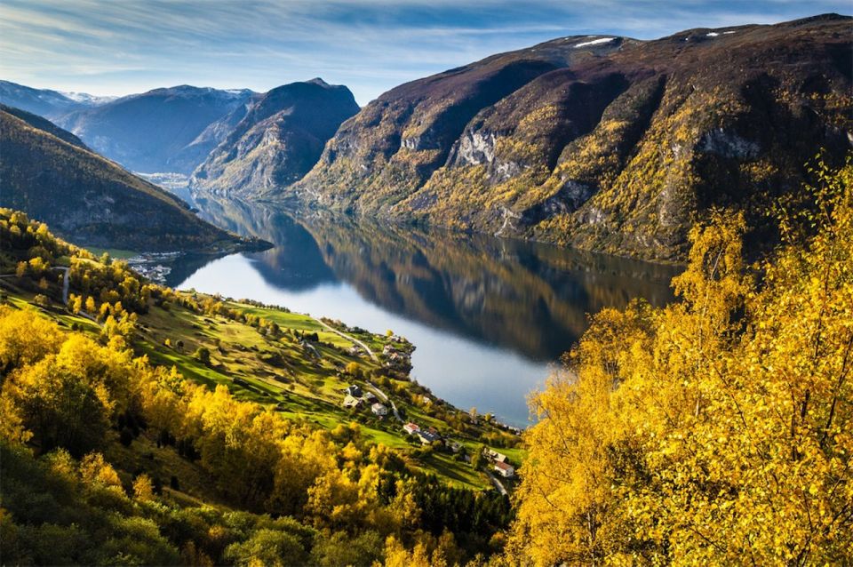 Bergen: Private Day Tour, Nærøyfjord Cruise and Flåm Railway - Experience Highlights