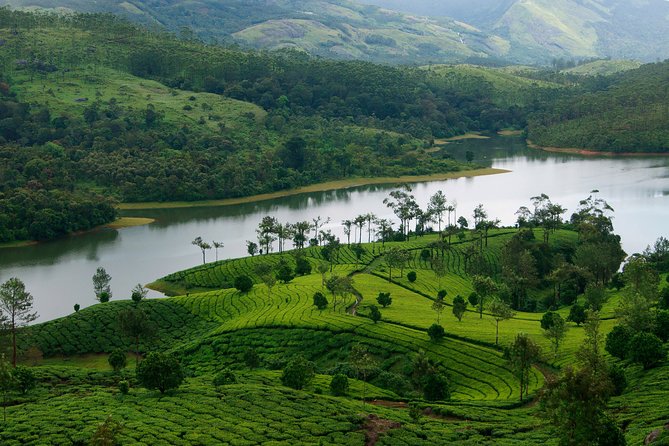 Best of Kerala Tour Package 7 Nights / 8 Days by Sanguine Holidays - Transportation Details