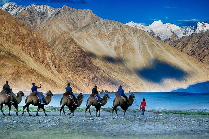 Best Of Ladakh - Scenic Highlights