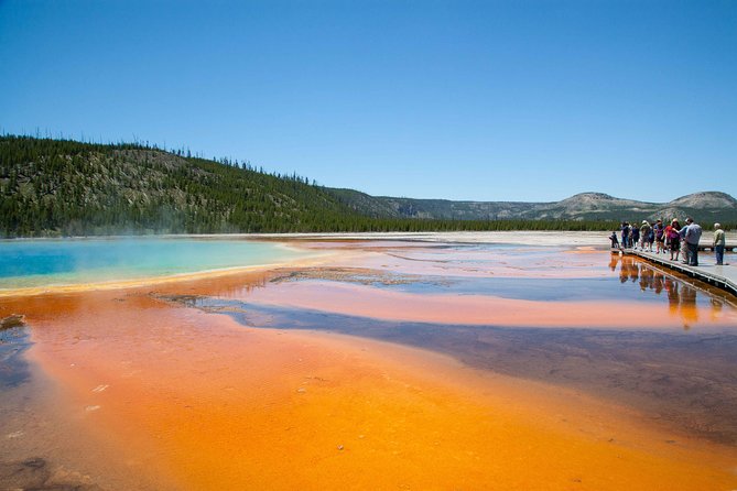 Best of Yellowstone Private National Park Safari Tour - Wildlife Spotting Opportunities