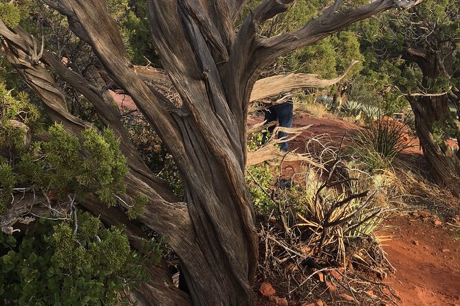 Best Vortex and Chakra Tour of Sedona - Meeting Point and Logistics