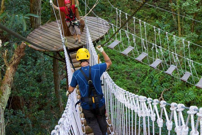 Big Island Kohala Zip and Dip Tour From Kona - Meeting and Pickup Details