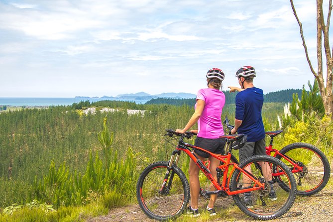 Bike Hire at the Waitangi Mountain Bike Park - Included Amenities