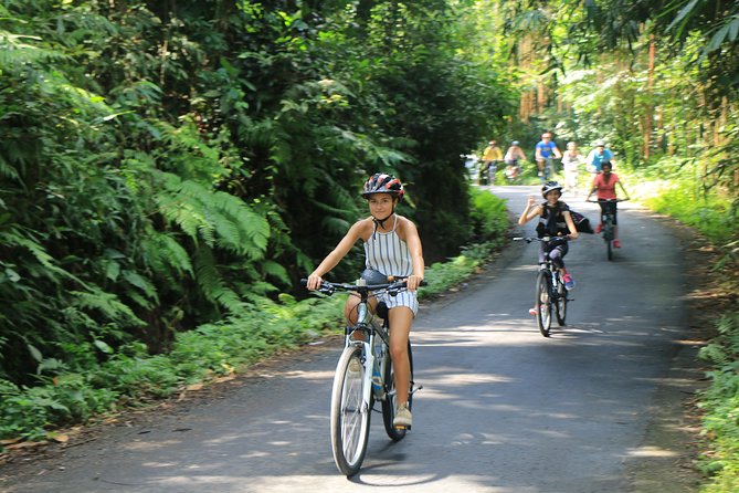 Bike Ride in the Rice Fields, Bali Countryside - Included in the Tour