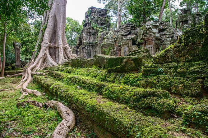 Bike the Angkor Temples Tour, Bayon, Ta Prohm With Lunch Included - Highlights