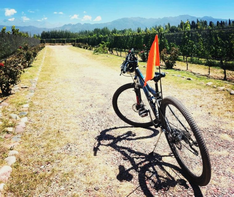 BikeTour- Wineries & Chocolate Factory - Itinerary Highlights