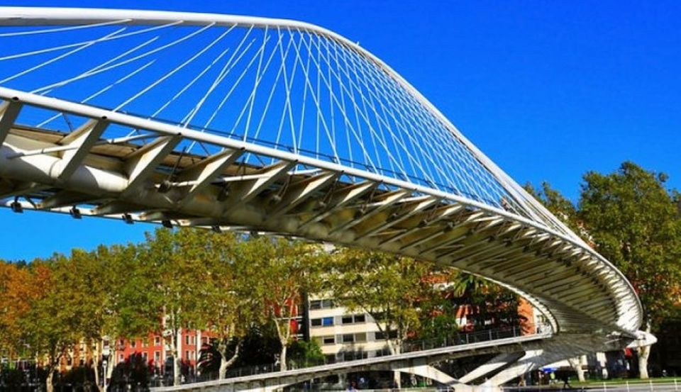 Bilbao: Guggenheim Museum Visit & Private Walking Food Tour - Guggenheim Museum Experience