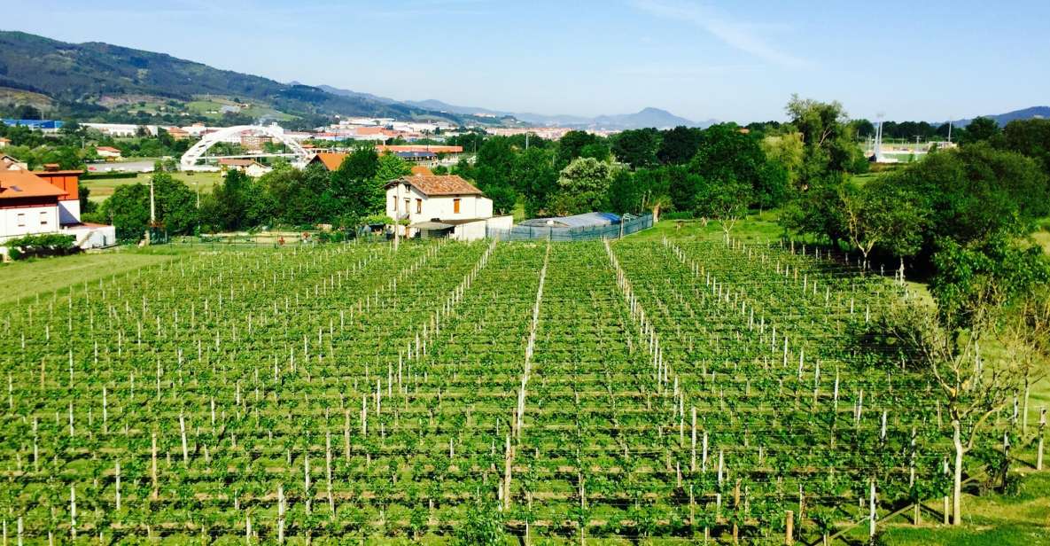 Bilbao: Guided Txacoli Wine Tasting - Experience Details