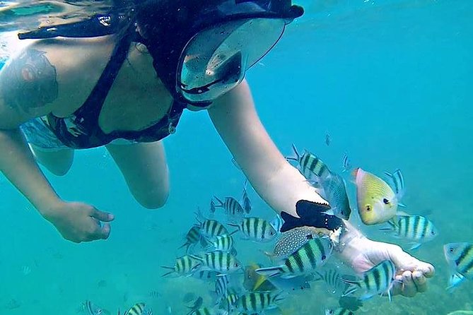Bintan Snorkeling Tour - Health and Safety Guidelines