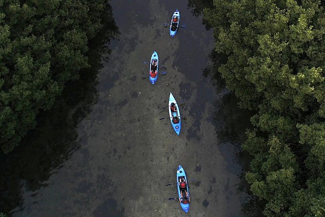 Bioluminescent Bay Kayak Adventure From San Juan - Experience Highlights