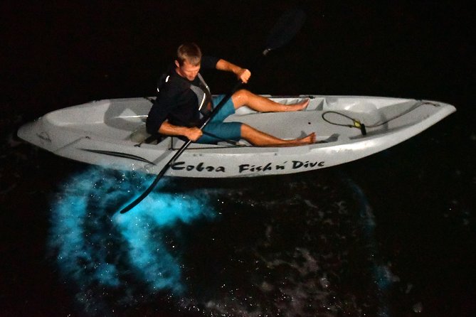 Bioluminescent Kayak Tour by THE #1 Rated Company in Cocoa Beach - Why We Are #1 Rated