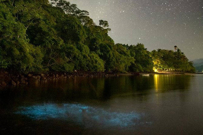 Bioluminescent Kayak Tour - What to Expect on the Tour