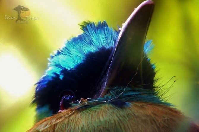 Bird Watching Tour in Monteverde - Tour Duration and Location