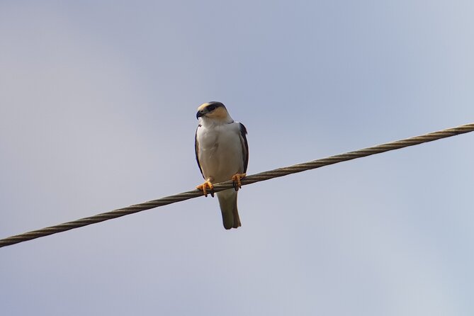 Birdwatching Tour in Monteverde - Meet Your Guide