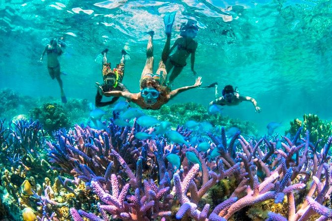 Bloo Lagoon Snorkeling East Bali Includes Transportation & Lunch - Pickup Locations