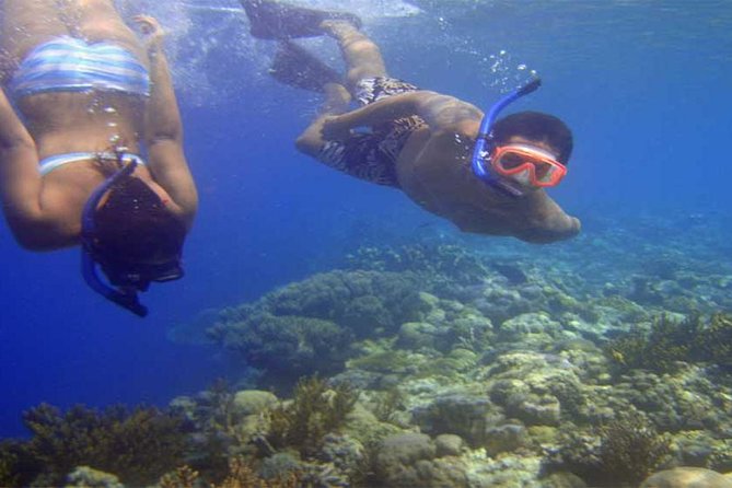 Blue Lagoon Bali Snorkeling Activities All Inclusive - Snorkeling Locations