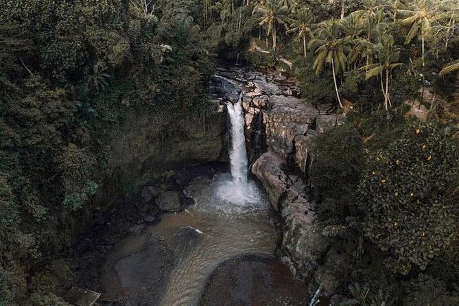 Blue Lagoon Snorkeling and Lunch With Visit Tegenungn Waterfall in Ubud - Itinerary Details