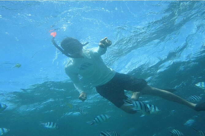 Blue Lagoon Snorkeling With Lunch and Private Transport - Whats Included in Your Tour
