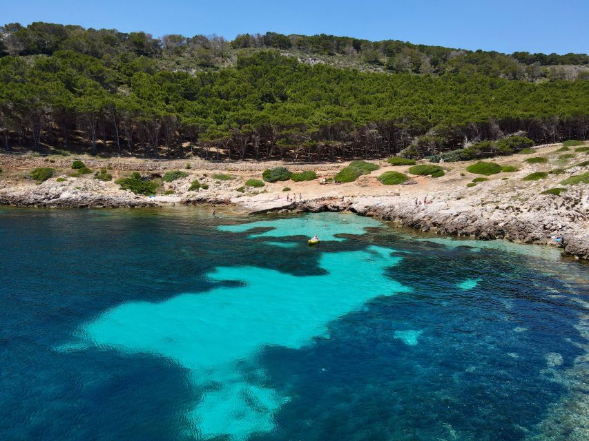 Boat Tour of Favignana and Levanzo From Trapani - Inclusions and Highlights