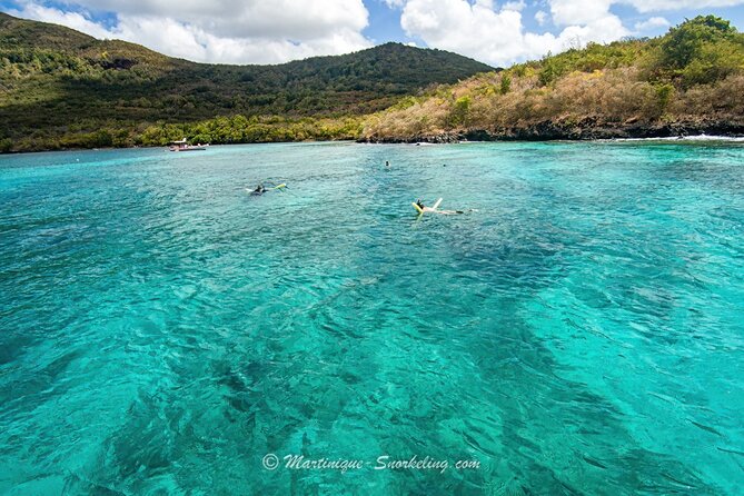 Boat Trip for Snorkeling Discovery of Corals - Meeting Point Details